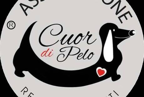 Shop Solidale Cuor di Pelo Bassotti